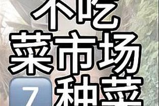 很不错了！森林狼本赛季长达65天占据西部第一 今天被雷霆反超